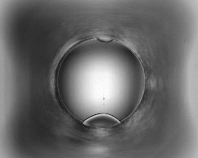X0000099980103200805231433