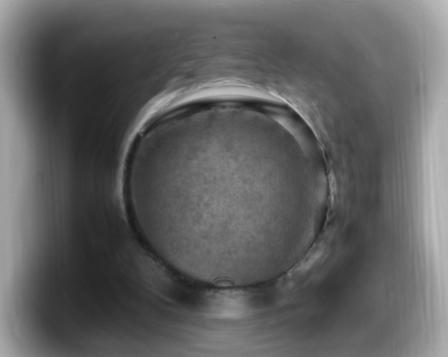 X0000099980104200805231433