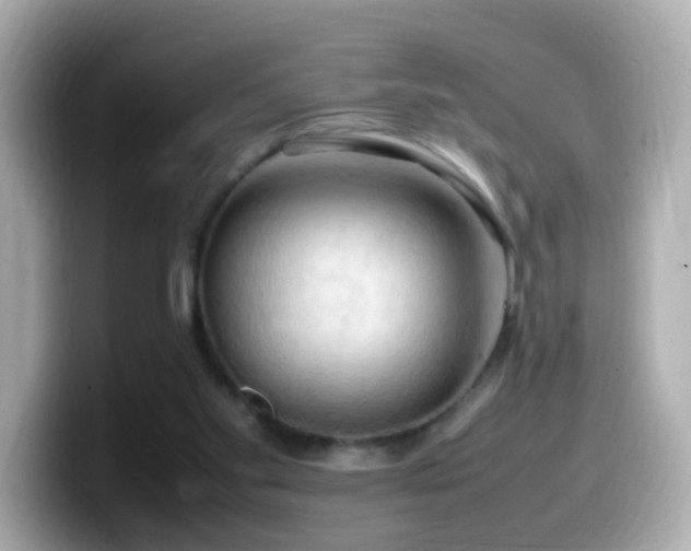 X0000099980109200805231432