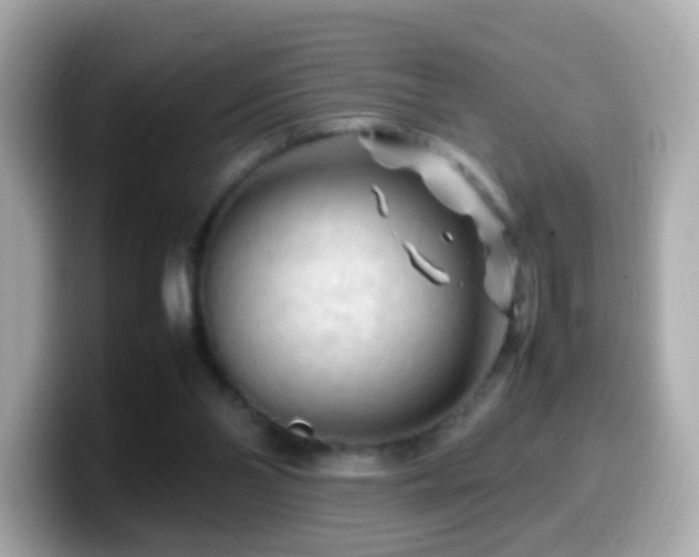 X0000099980110200805231432