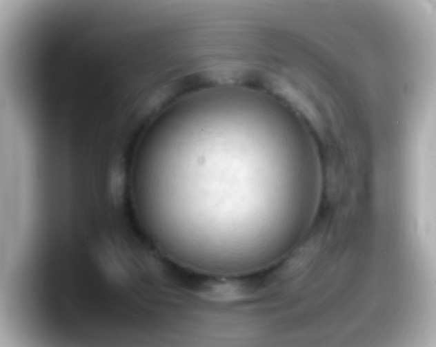 X0000099980113200805231432