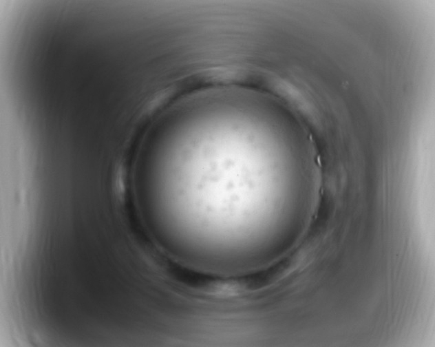 X0000099980115200805231432