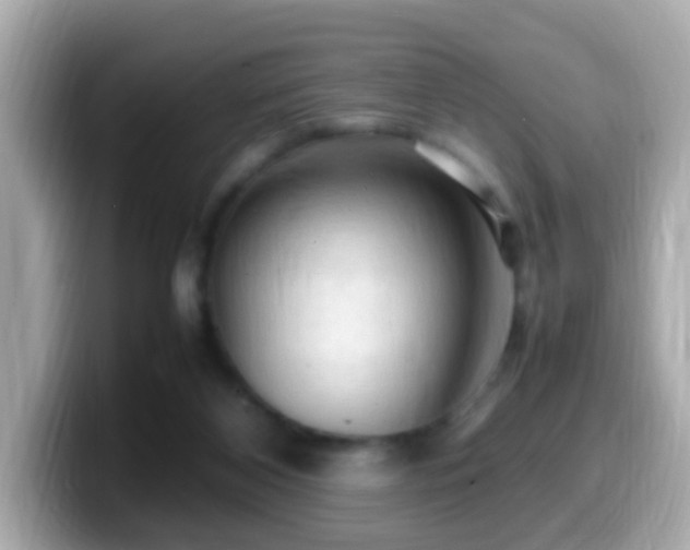 X0000099980116200805231432