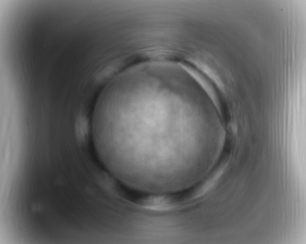 X0000099980117200805231432