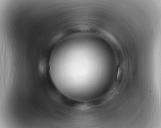 X0000099980120200805231432