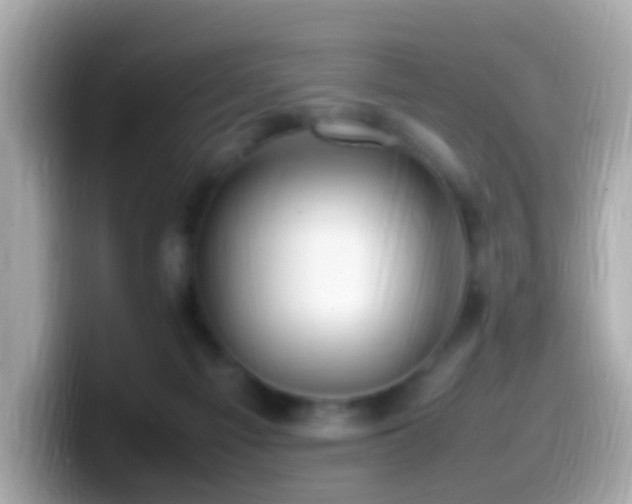 X0000099980121200805231432