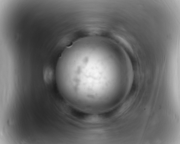 X0000099980123200805231432