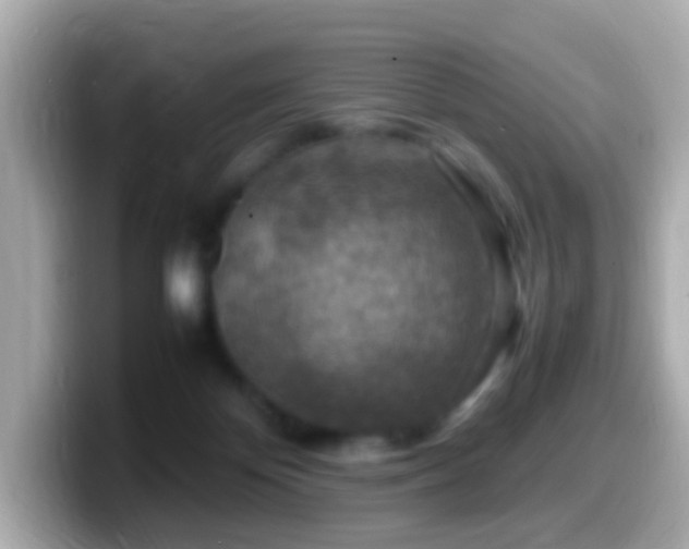 X0000099980124200805231432