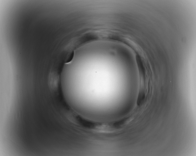 X0000099980125200805231432