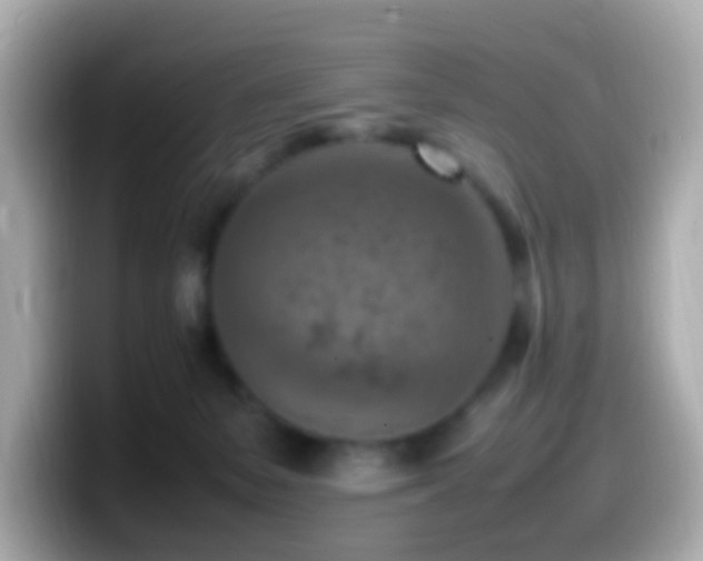 X0000099980127200805231432