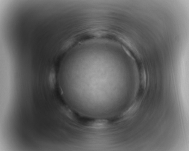 X0000099980128200805231432