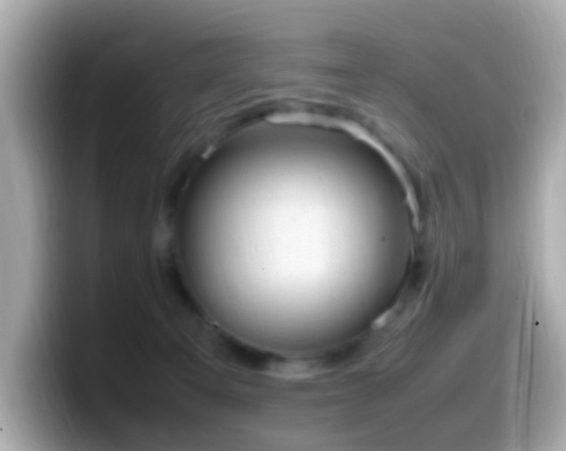 X0000099980129200805231432
