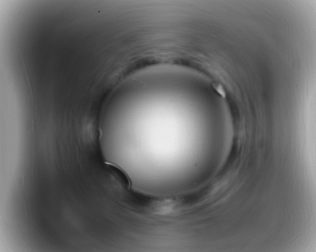 X0000099980131200805231432