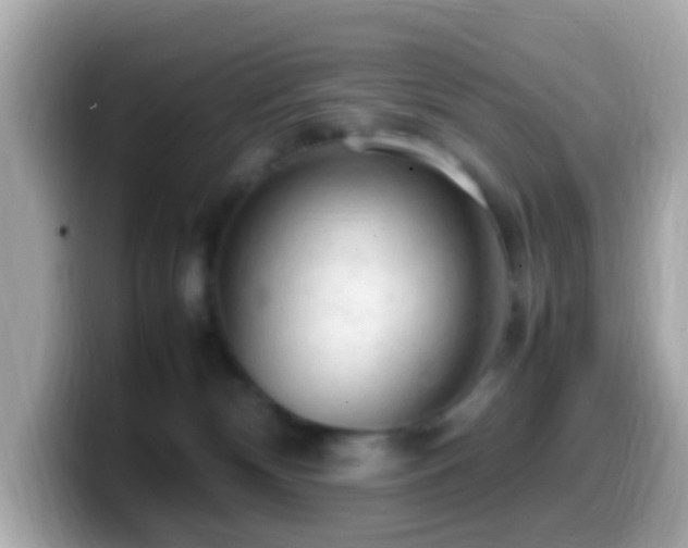 X0000099980132200805231432