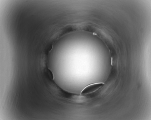 X0000099980133200805231432