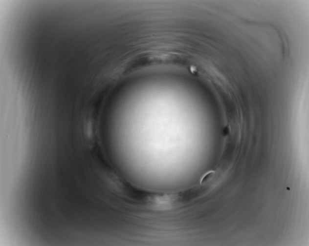 X0000099980134200805231432