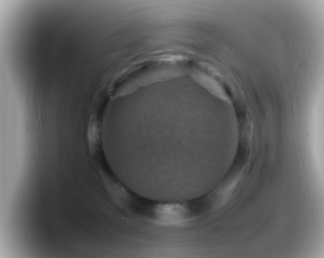X0000099980137200805231432