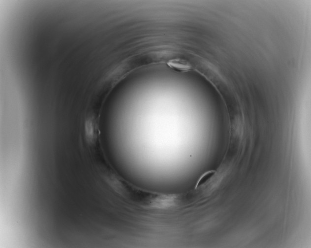 X0000099980138200805231432