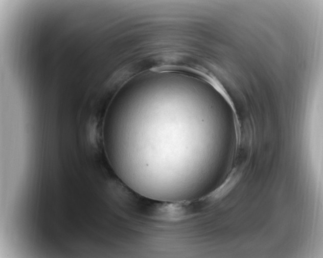 X0000099980140200805231432