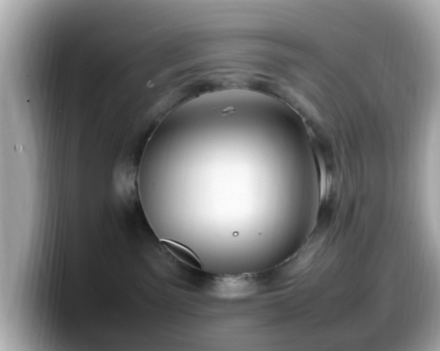 X0000099980141200805231432