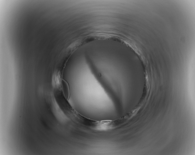 X0000099980143200805231432