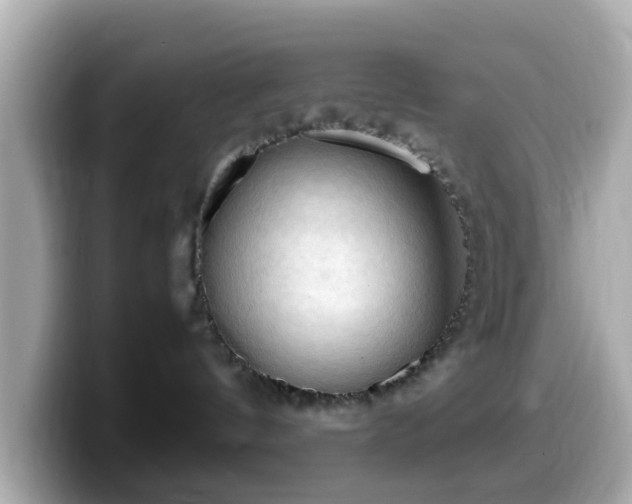 X0000099980144200805231432