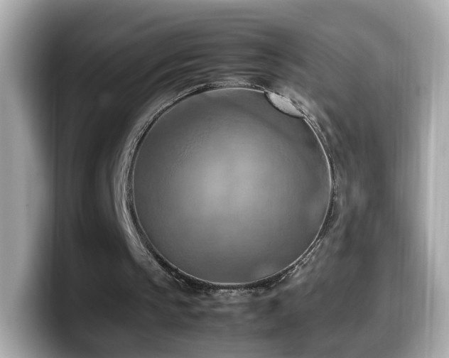 X0000099980145200805231431