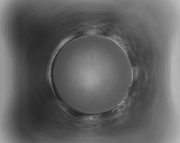 X0000099980147200805231431