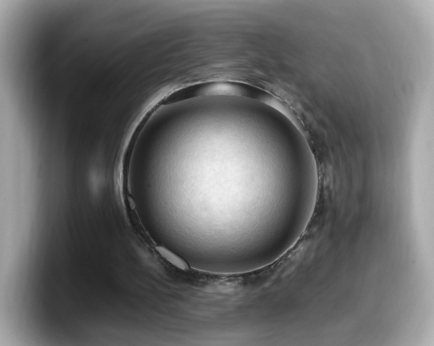 X0000099980148200805231431