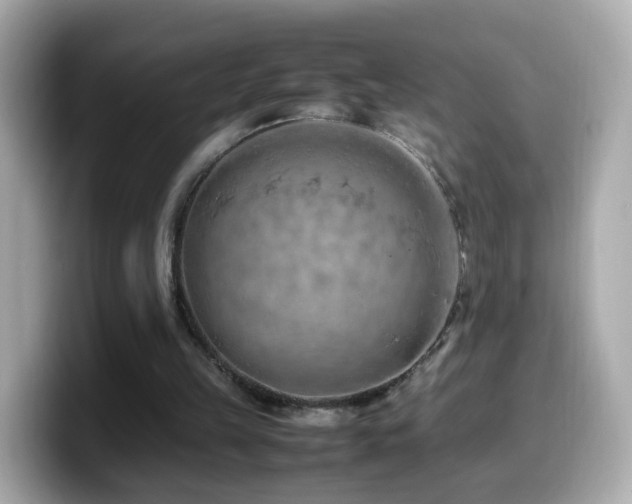 X0000099980149200805231431