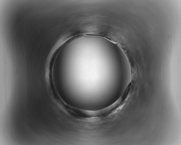 X0000099980150200805231431