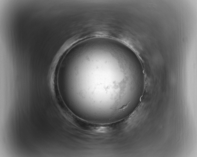 X0000099980151200805231431