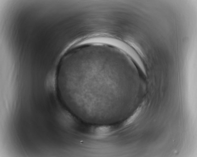X0000099980156200805231432