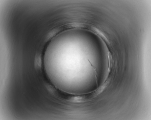 X0000099980158200805231432