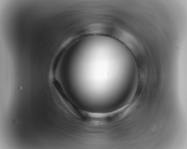 X0000099980160200805231432