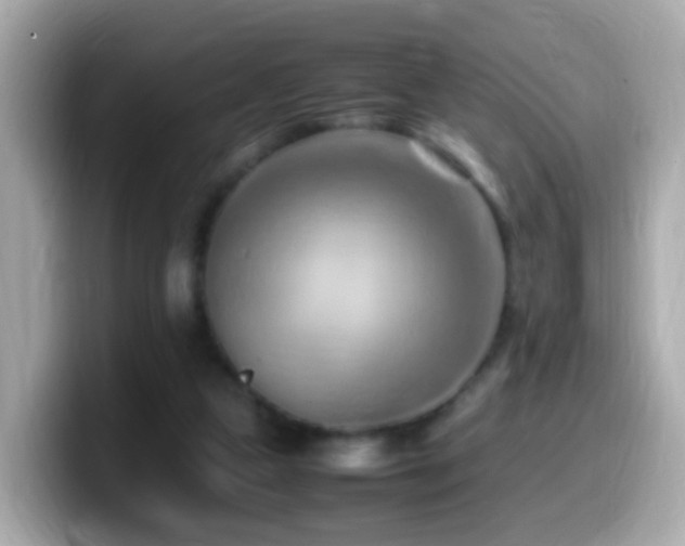 X0000099980161200805231432