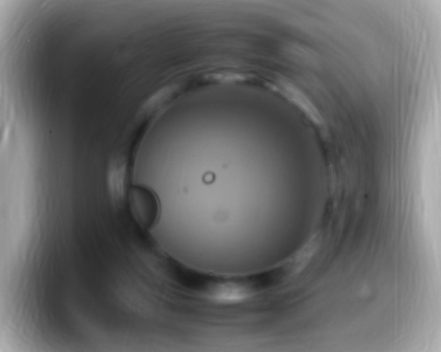 X0000099980163200805231432