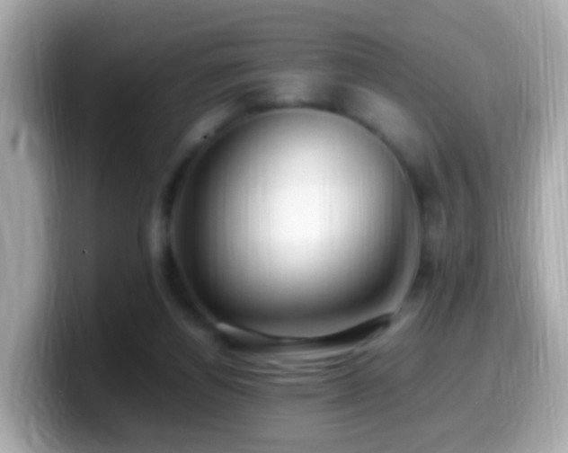 X0000099980164200805231432