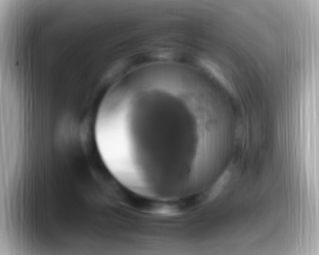 X0000099980167200805231432