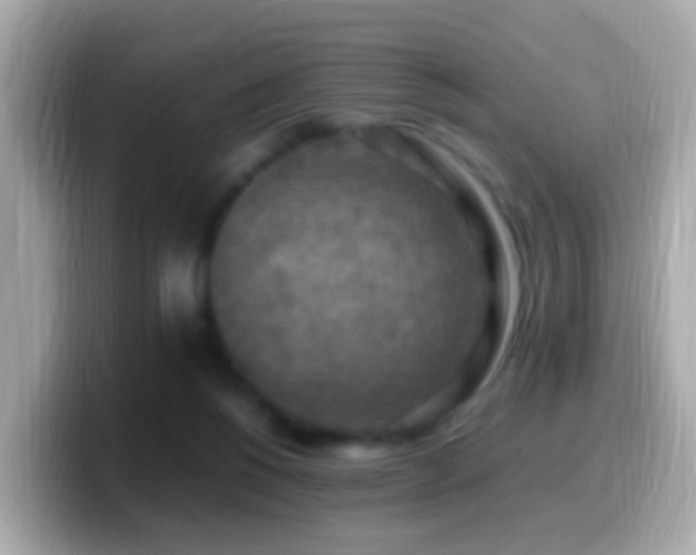 X0000099980168200805231432