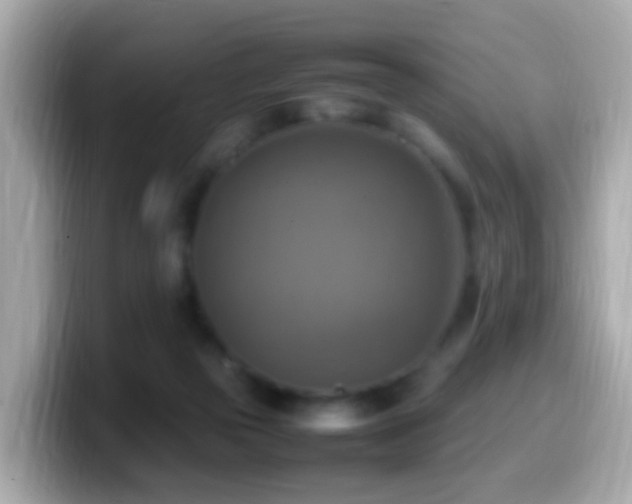 X0000099980169200805231432