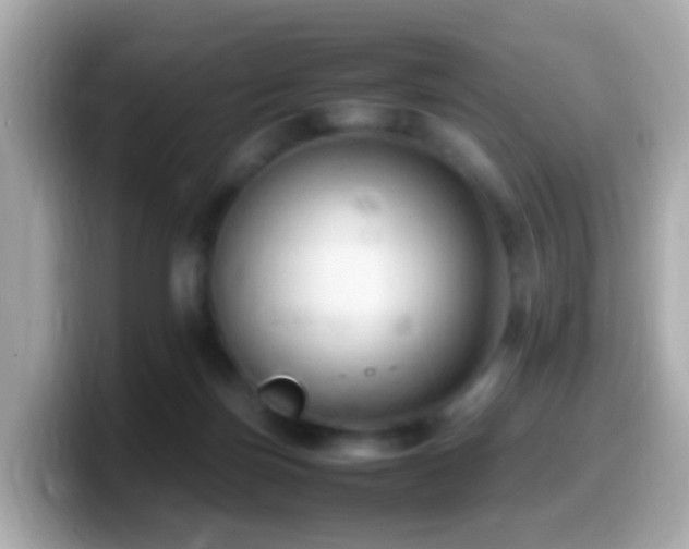 X0000099980171200805231432