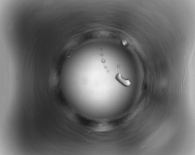 X0000099980173200805231432