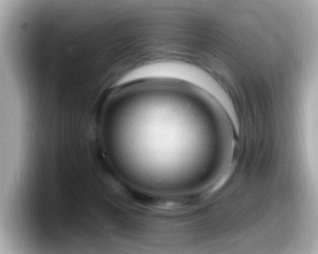 X0000099980174200805231432