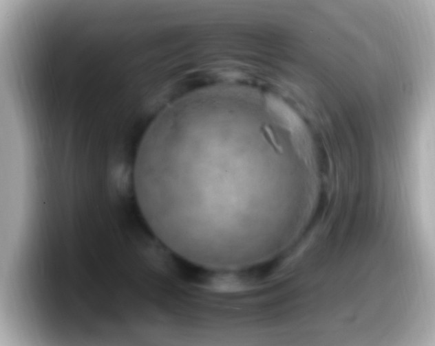 X0000099980177200805231432