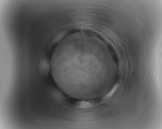 X0000099980180200805231432