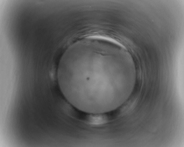 X0000099980181200805231432