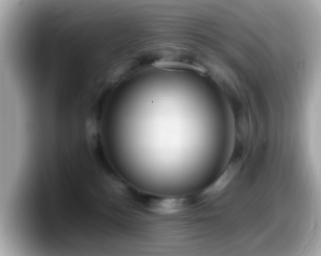 X0000099980184200805231432