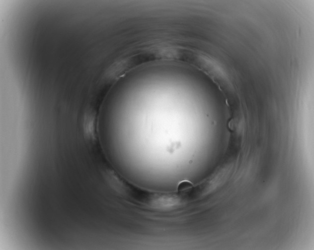 X0000099980185200805231432