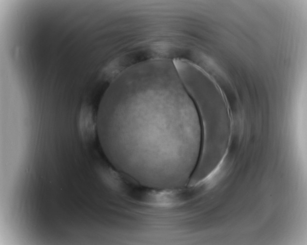 X0000099980186200805231432